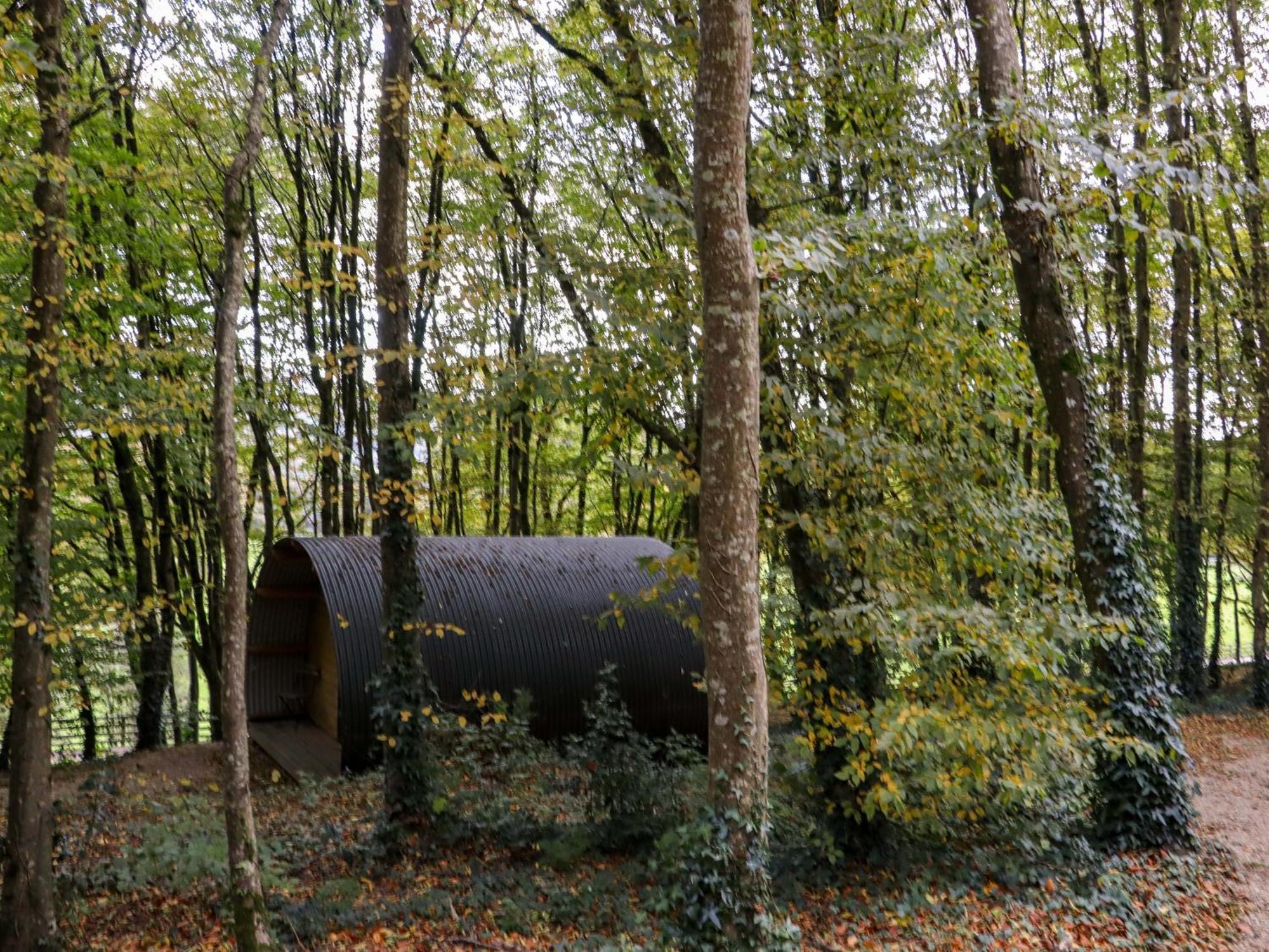 Ballybeg Pod 9 Arklow Exteriér fotografie